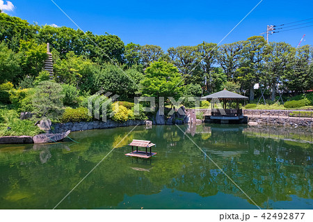 目白庭園 目白庭園 42492877
