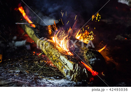 Bonfire with smoke and blaze 42493036