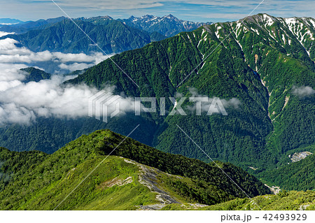 北アルプス 爺ヶ岳から見る蓮華岳と槍穂高連峰の写真素材