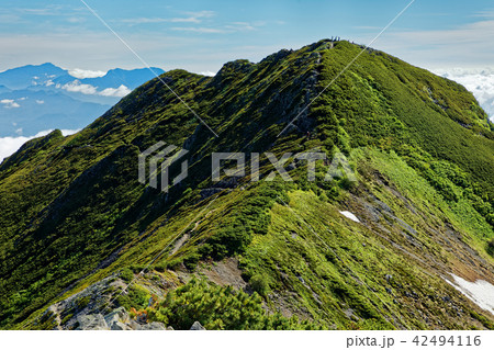 北アルプス・爺ヶ岳南峰から見る中峰と妙高山・高妻山 北アルプス・爺ヶ岳南峰から見る中峰と妙高山・高妻山 42494116
