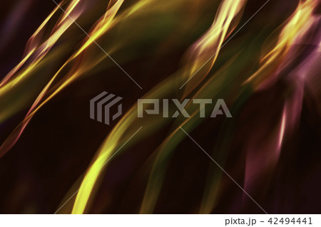 Umbrella Plant Abstract Umbrella Plant Abstract 42494441