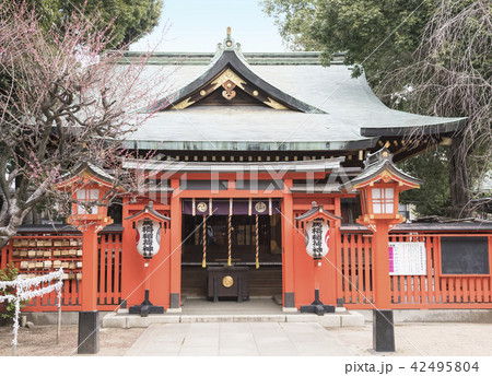 馬橋稲荷神社の拝殿（東京都杉並区） 42495804