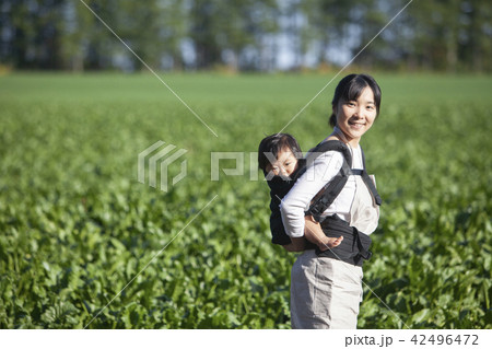 子守しながら家庭菜園 42496472