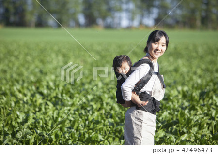 子守しながら家庭菜園 42496473