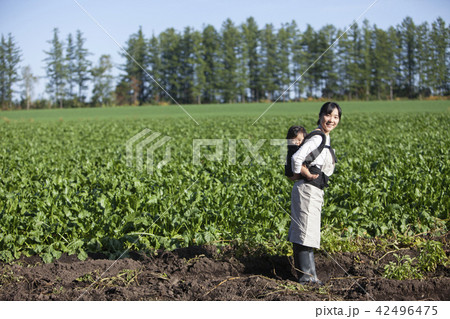 子守しながら家庭菜園 42496475