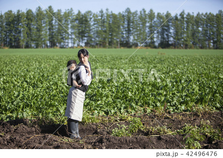 子守しながら家庭菜園 42496476