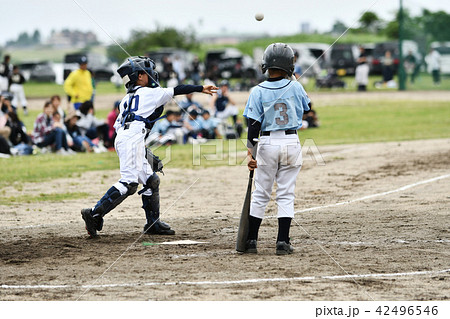 少年野球の試合 42496546