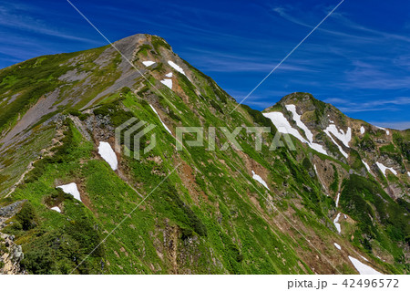 布引山から見る鹿島槍ヶ岳 42496572