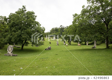 Magura Sculpture Camp - Buzau - Romania 42496863