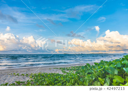 image of beautiful sand beach. image of beautiful sand beach. 42497213