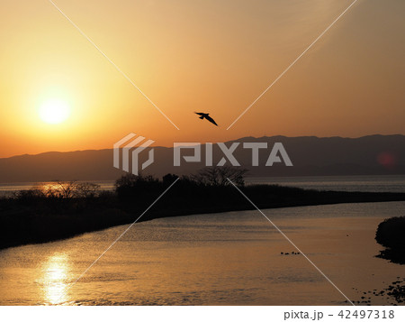 美しき夕景(大村湾・郡川の河口より) 美しき夕景(大村湾・郡川の河口より) 42497318