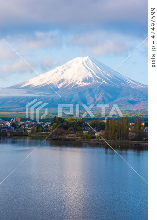 Mountain Fuji and Lake Kawaguchi day time. Mountain Fuji and Lake Kawaguchi day time. 42497599