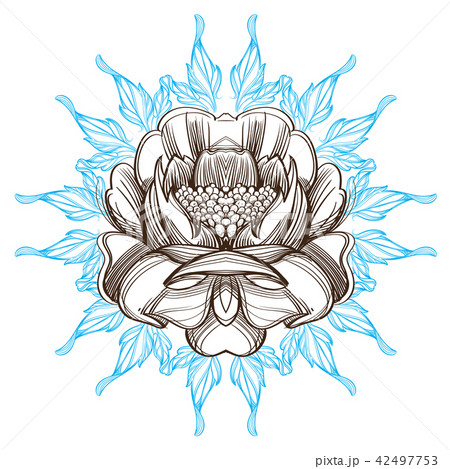 Hand drawn peony. Sketch style. Floral design element. 42497753