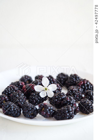 Fresh berries on white concrete background 42497778