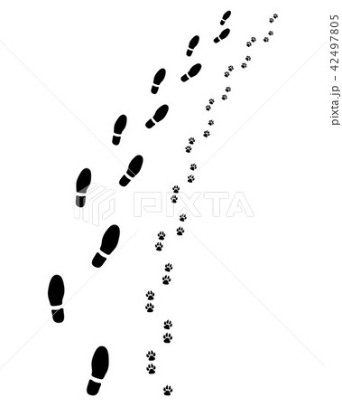 Footprints of man and dog 42497805