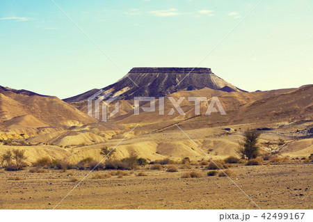 Makhtesh Ramon Crater, Negev desert, Israel 42499167