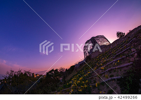 六甲ガーデンテラス　六甲枝垂れ 42499266