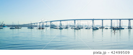 San Diego Coronado Bridge 42499509