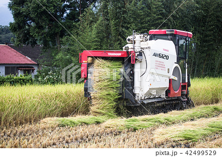 ハーベスター たんぼ 田んぼ 42499529