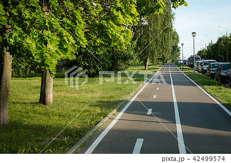 Bike path in the city, summer, sunset 42499574