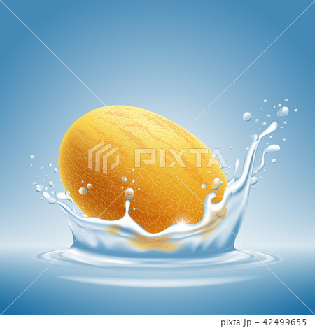 Melon fruit in water splash 42499655