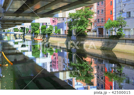 横浜　首都高速高架下を流れる中村川（堀川） 42500015