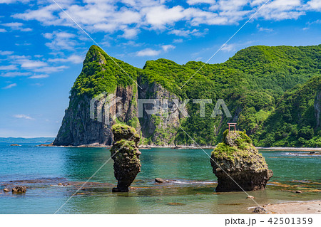 《北海道》えびす岩と大黒岩 42501359