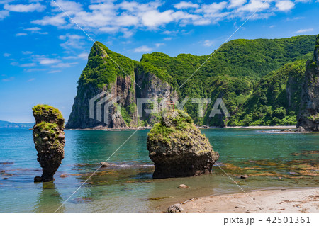 《北海道》えびす岩と大黒岩 42501361