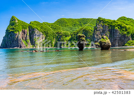 《北海道》えびす岩と大黒岩 42501383
