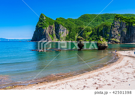 《北海道》えびす岩と大黒岩 42501398