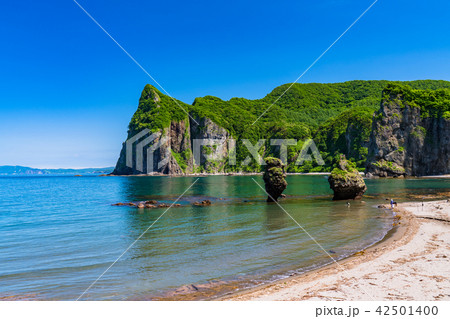 《北海道》えびす岩と大黒岩 42501400