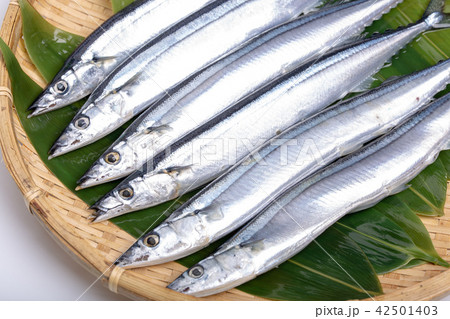 サンマ　食材 42501403