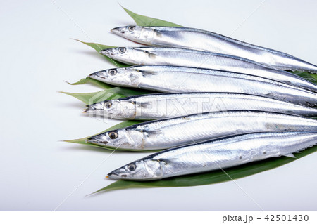 サンマ 食材 サンマ 食材 42501430