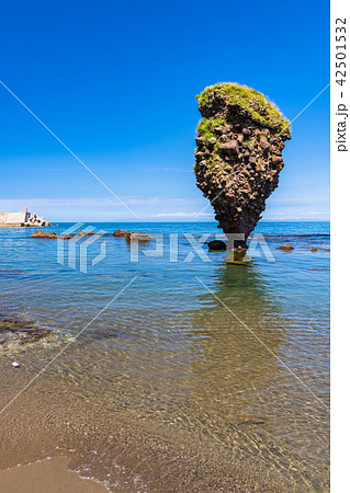 《北海道》えびす岩 42501532