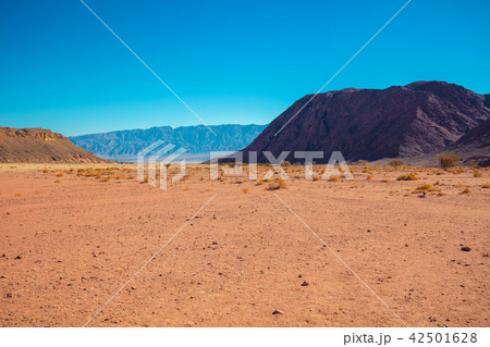 Sandstone rock in Timna park, Israel 42501628