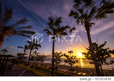 沖縄　石垣島　フサキビーチ 夕暮れ 42501638
