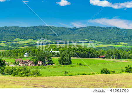 《北海道》夏の美瑛・田園風景 《北海道》夏の美瑛・田園風景 42501790