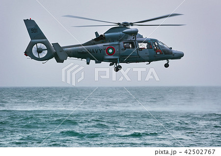 Eurocopter AS565 Panther Eurocopter AS565 Panther 42502767