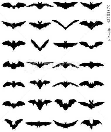 black silhouettes of bats 42503370