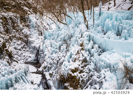 尾ノ内百景氷柱 （埼玉県秩父郡小鹿野町） 2018年2月 42503929