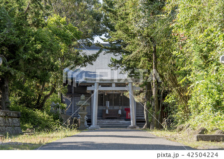 千葉県南房総市白浜厳島神社 千葉県南房総市白浜厳島神社 42504224