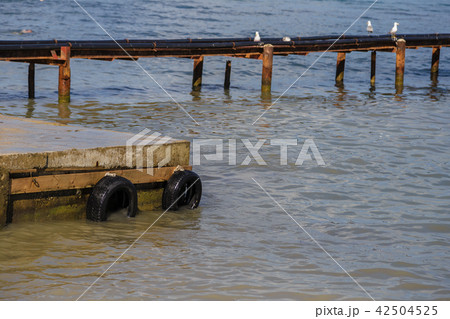 Seagulls are sitting on the quay that goes into 42504525