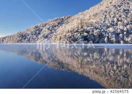 真冬の湯の湖 真冬の湯の湖 42504575