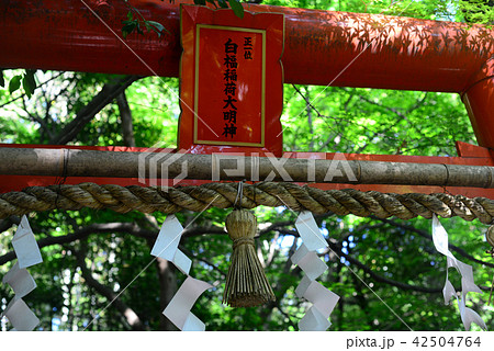 野宮神社の摂末社白福稲荷神社-1 42504764