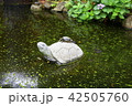 亀on亀 42505760