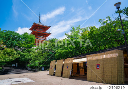 京都 清水寺 三重塔 夏 京都 清水寺 三重塔 夏 42506219