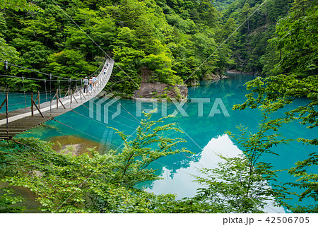 静岡県　寸又峡　夢の吊り橋 42506705