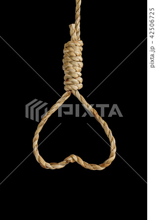 Noose rope shaped heart 42506725
