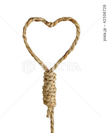 Noose rope shaped heart 42506726