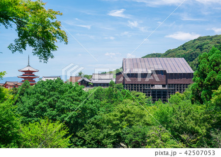 京都　清水寺　修復中の舞台 42507053